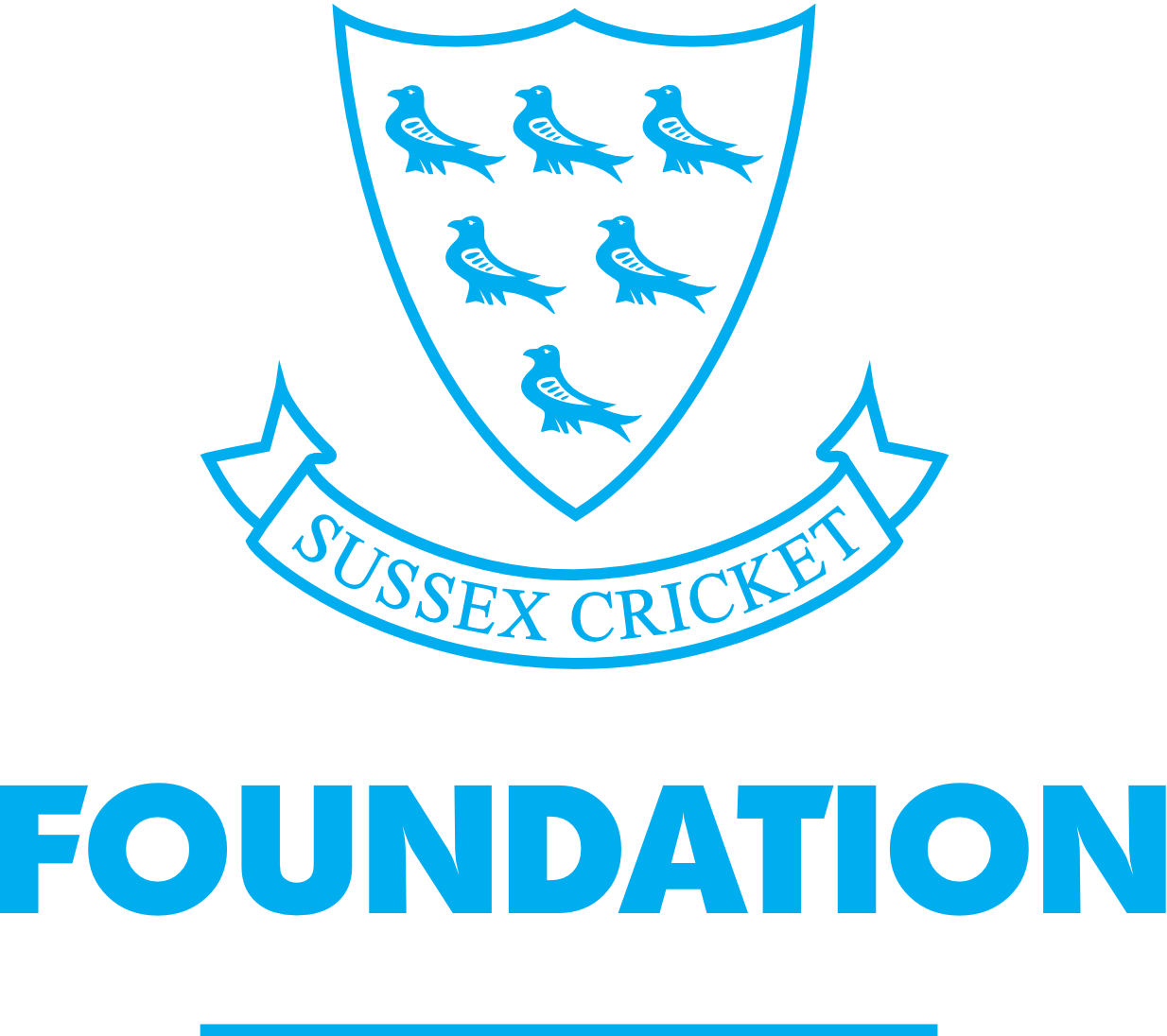 Sussex Cricket Foundation Logo